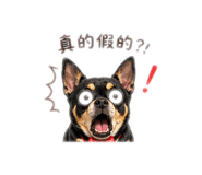 844228273