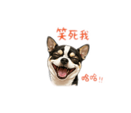844228285