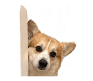 844228634