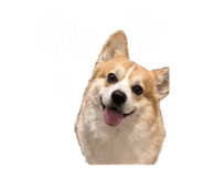 844228635