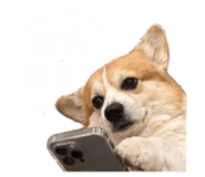 844228636