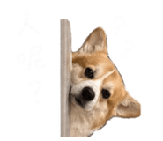844228638