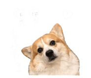 844228639