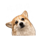 844228640