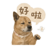 844228804