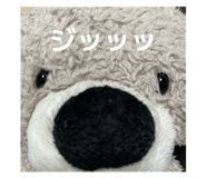 844229006