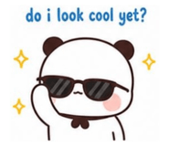 844229206