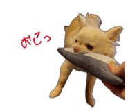 844229516