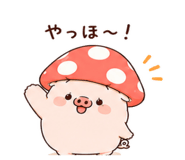844229827