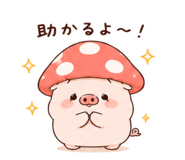 844229997