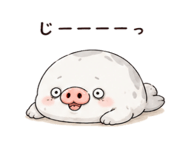 844230197