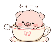 844230251