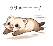 844230464