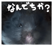 844231174