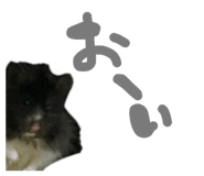 844231179