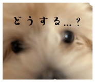 844231190