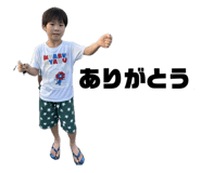 844231293