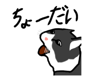 844231588