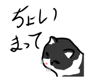 844231608