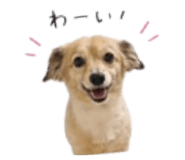 844231655