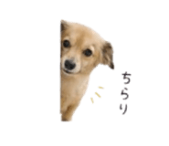 844231659