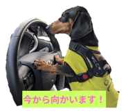 844231855