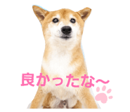 844232179