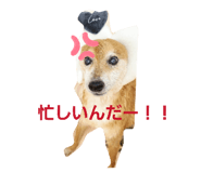 844232180