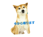 844232181
