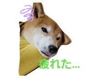 844232182