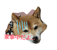 844232183