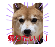 844232184