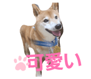 844232185