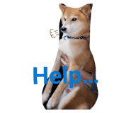 844232186