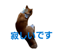 844232187