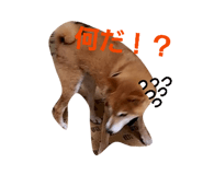 844232188