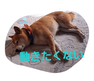 844232190