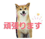 844232192