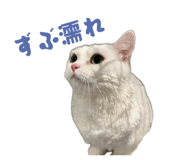844232708