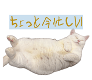 844232717