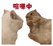 844232719