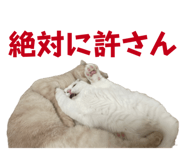 844232720