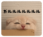 844232722