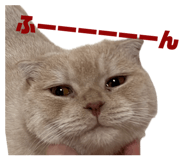 844232725