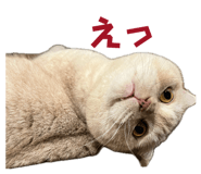 844232726