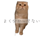844232729