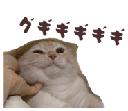 844232732