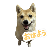 844240121