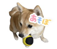 844240122