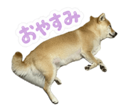 844240125